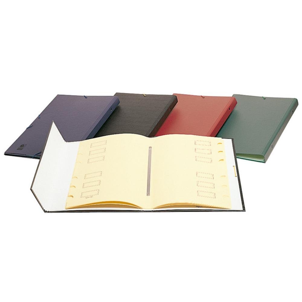 Clasificador Campus University Cartón Forrado Mrs-03 Colores Surtidos