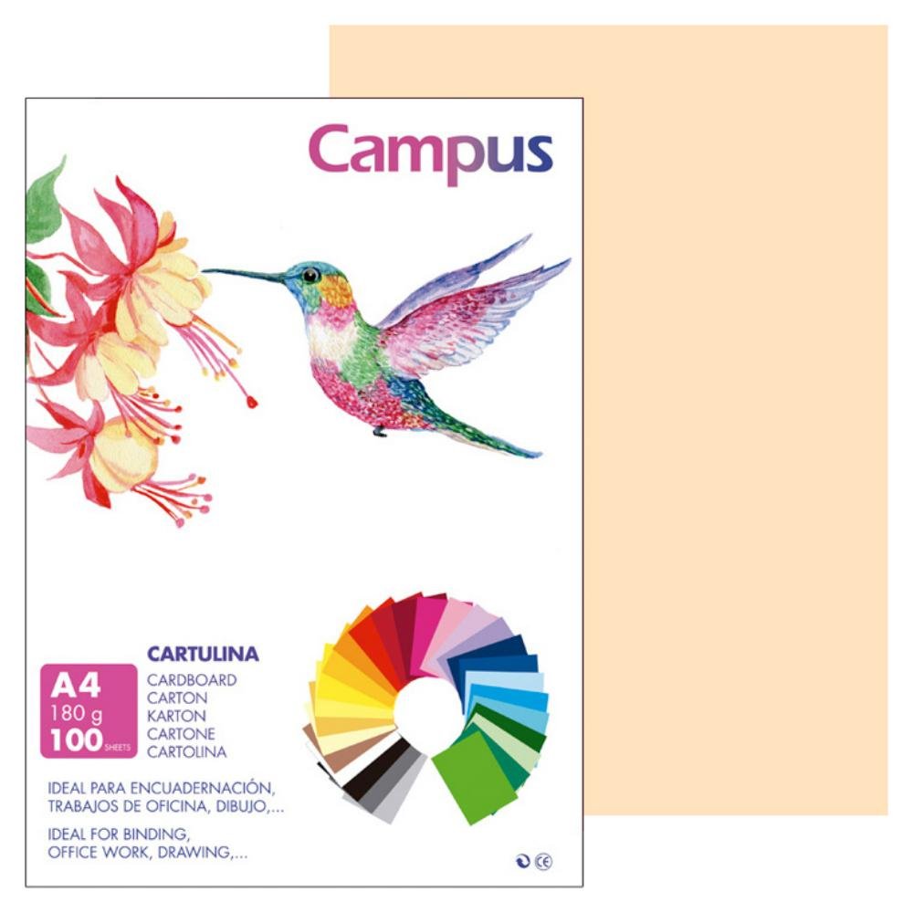Cartulina Campus A4 180g Crema