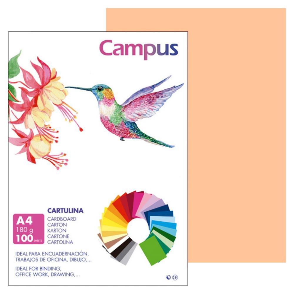 Cartulina Campus A4 180g Color Carne