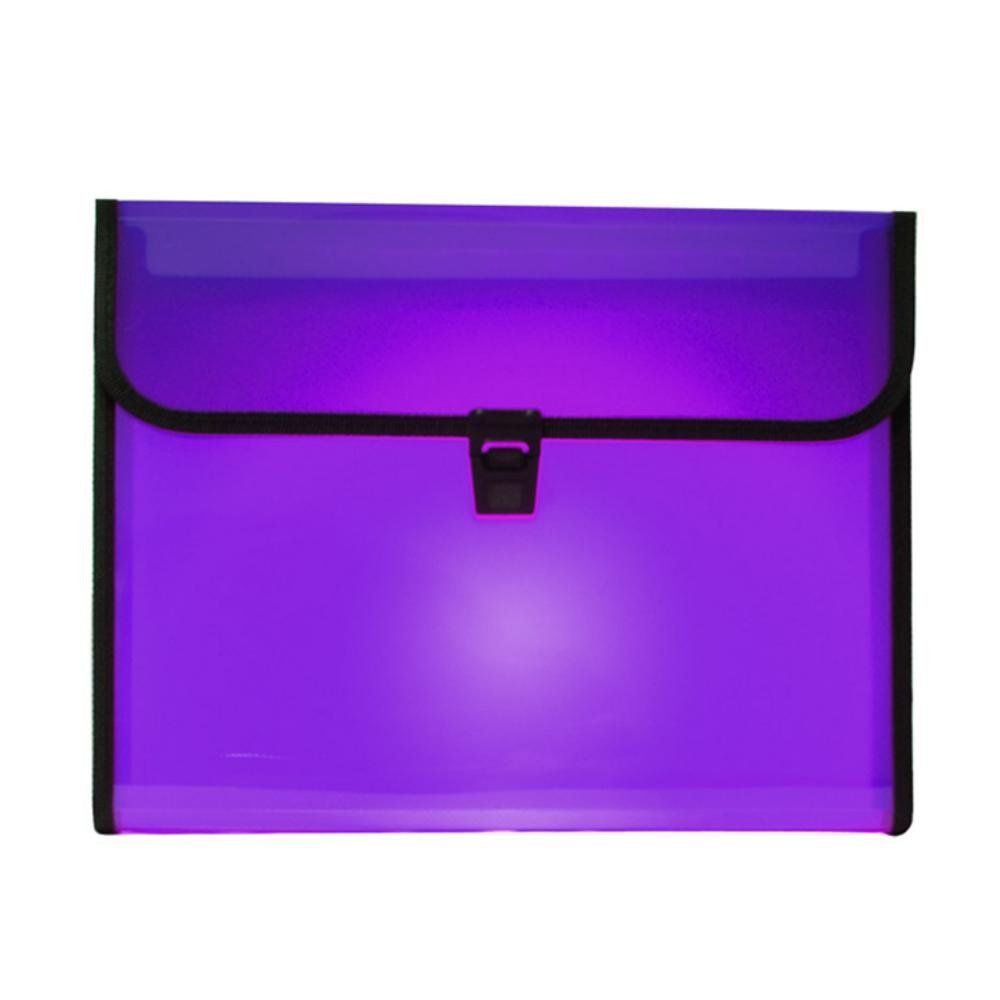 Carpeta Clasificadora Plus Office Broche A4 Violeta Traslúcida